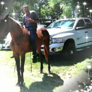 Meet your Posher, Dion yndi